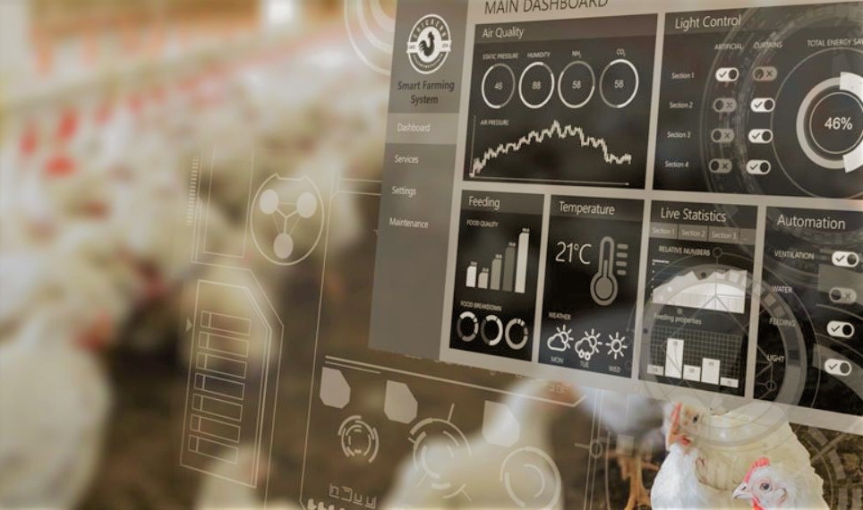 Keunggulan Sistem Kandang Terbuka vs Tertutup