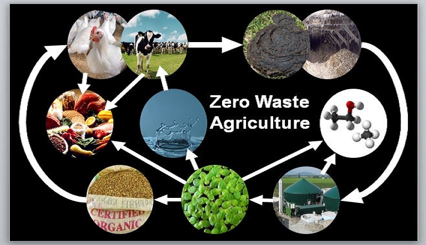 Peternakan Zero Waste dan Cara Mewujudkannya