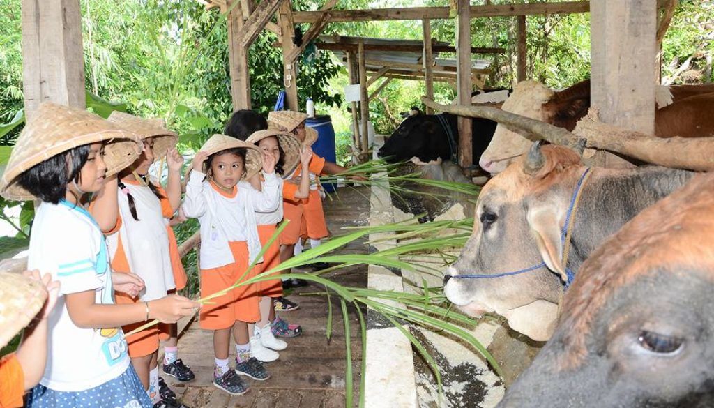 Cara Meningkatkan Kesejahteraan Ternak di Peternakan Kecil