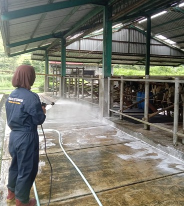 Langkah-Langkah Menjaga Kebersihan Kandang Setiap Hari