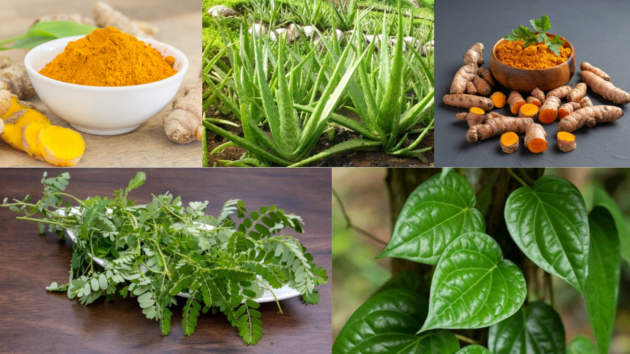 Mengoptimalkan Pertumbuhan Ternak dengan Suplemen Alami