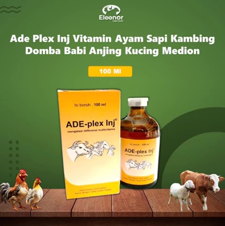 ADE PLEX INJEKSI 100 ML ADE PLEX INJ 50 ML - Multivitamin Hewan Vitamin ADE B Complex Ternak Medion
