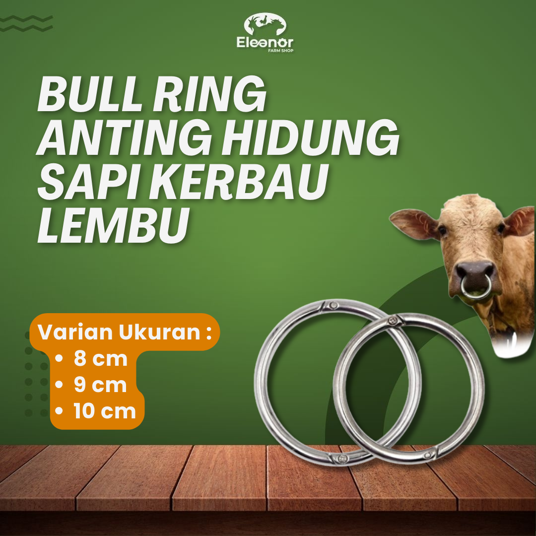 Bull Ring Anting Hidung Sapi Kerbau Lembu Bahan Stainless Steel