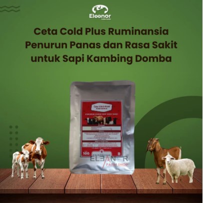 Ceta Cold Plus Ruminansia - Penurun Panas dan Rasa Sakit untuk Sapi, Kambing, Domba