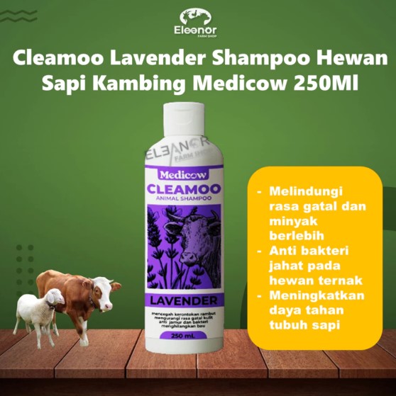 Cleamoo Lavender Shampoo Hewan Sapi Kambing Domba - Medicow 250Ml