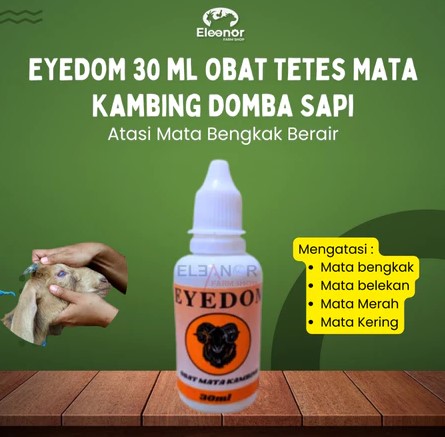 Eyedom Tetes Mata Untuk Kambing Domba Sapi Mata Bengkak Berair 30Ml