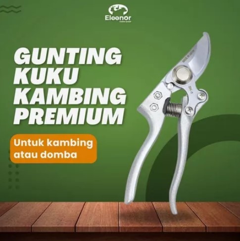 Gunting Kuku Domba Kambing Premium
