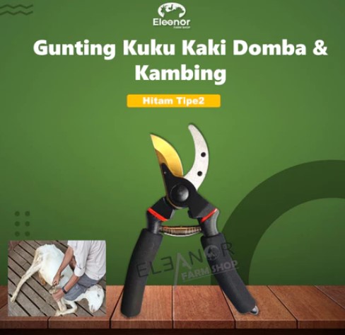 Gunting Kuku Kaki Kambing & Domba Hitam Baru Tipe2