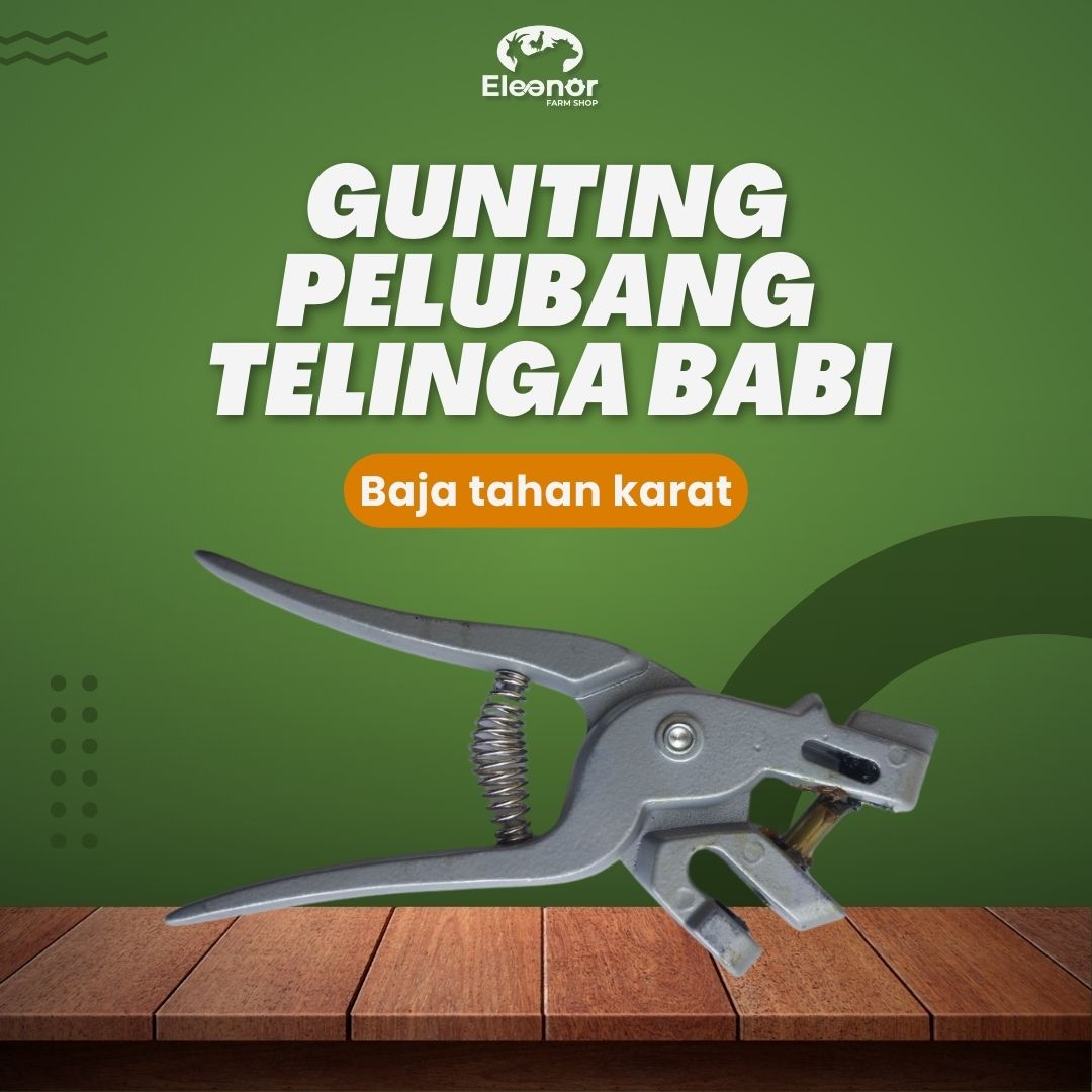 Gunting Telinga Babi Tang Pelubang Telinga Babi Huruf O Pig Ear Notcher Scissors