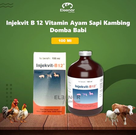 Injekvit B12 100 ml - Vitamin B12 untuk Perbaiki Kondisi Tubuh, Anemia dan Tingkatkan Nafsu Makan Hewan Ternak Medion