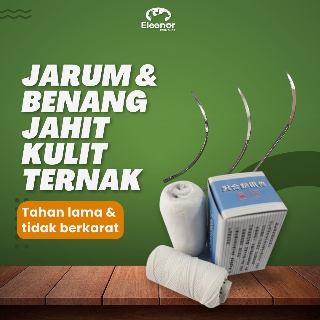 Jarum dan Benang Jahit Kulit Hewan Ternak Kambing Sapi Domba Kerbau Babi Ukuran 10 x 34, 12 x 48, 13x 55