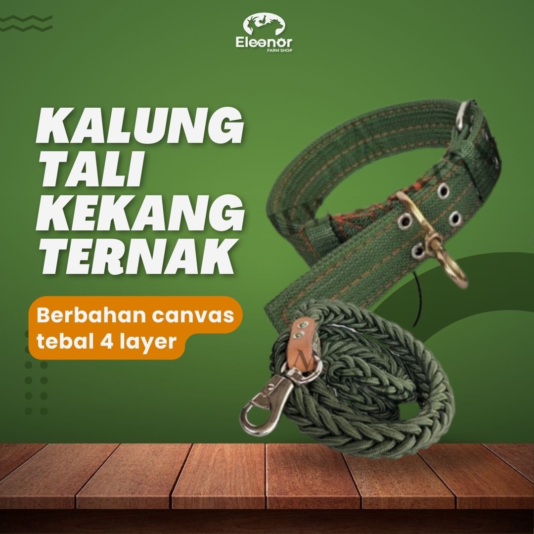 Kalung Tali Kekang Kambing Sapi Domba Babi Anjing Import 4 Layer Bahan Canvas Kuat Ukuran 64cm 100cm dan 150 cm