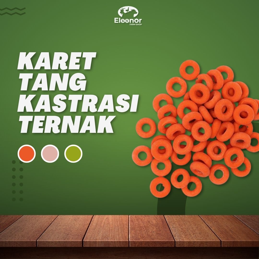Karet Tang Kastrasi Cincin Alat Kebiri Hewan Ternak Kambing Domba Babi