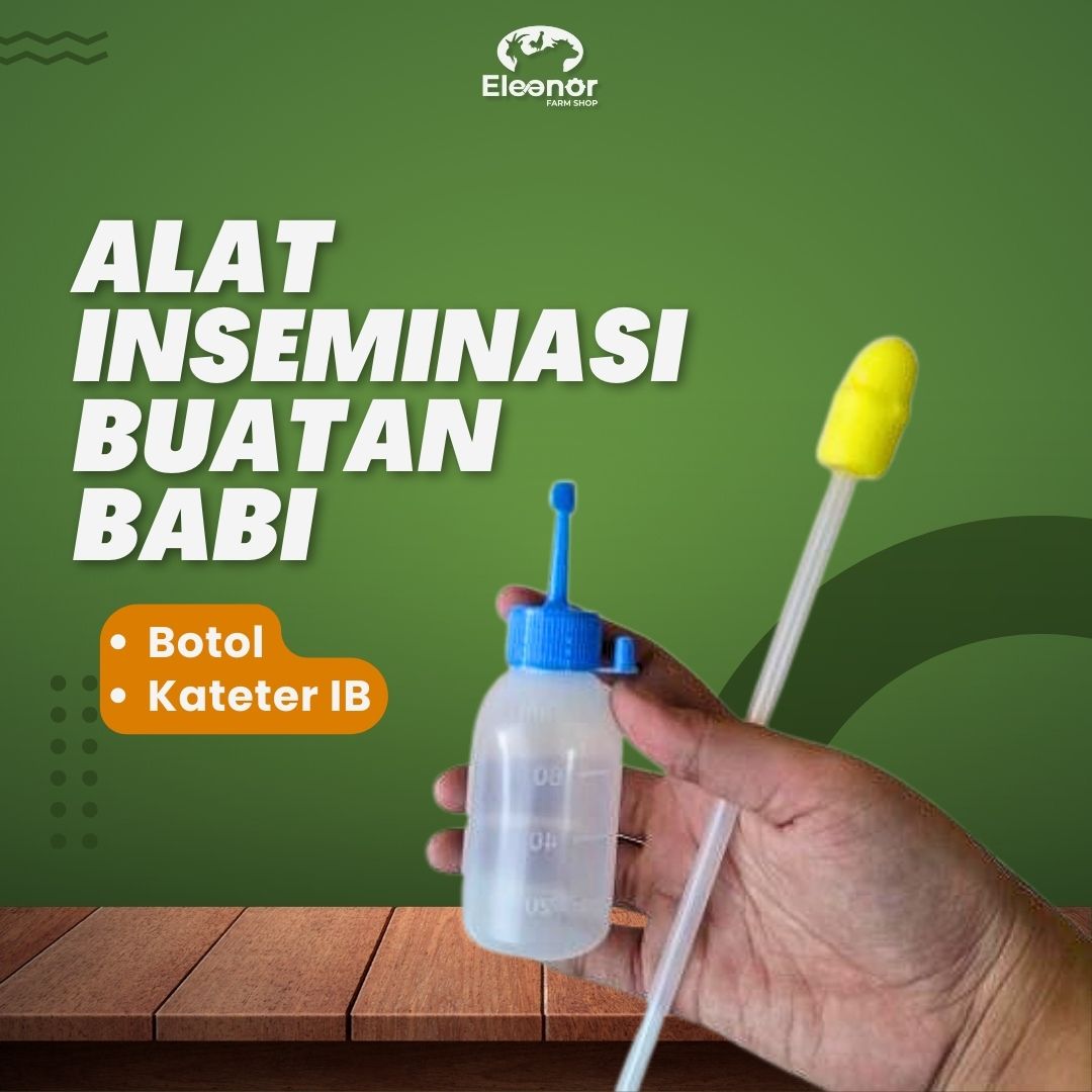 Kateter Chateter Babi Foam Spiral + Botol Sperma 1set