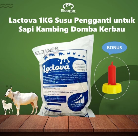 Lactova 1Kg BONUS Dot Bptol Susu Pengganti Untuk Sapi Kerbau Kuda Kambing