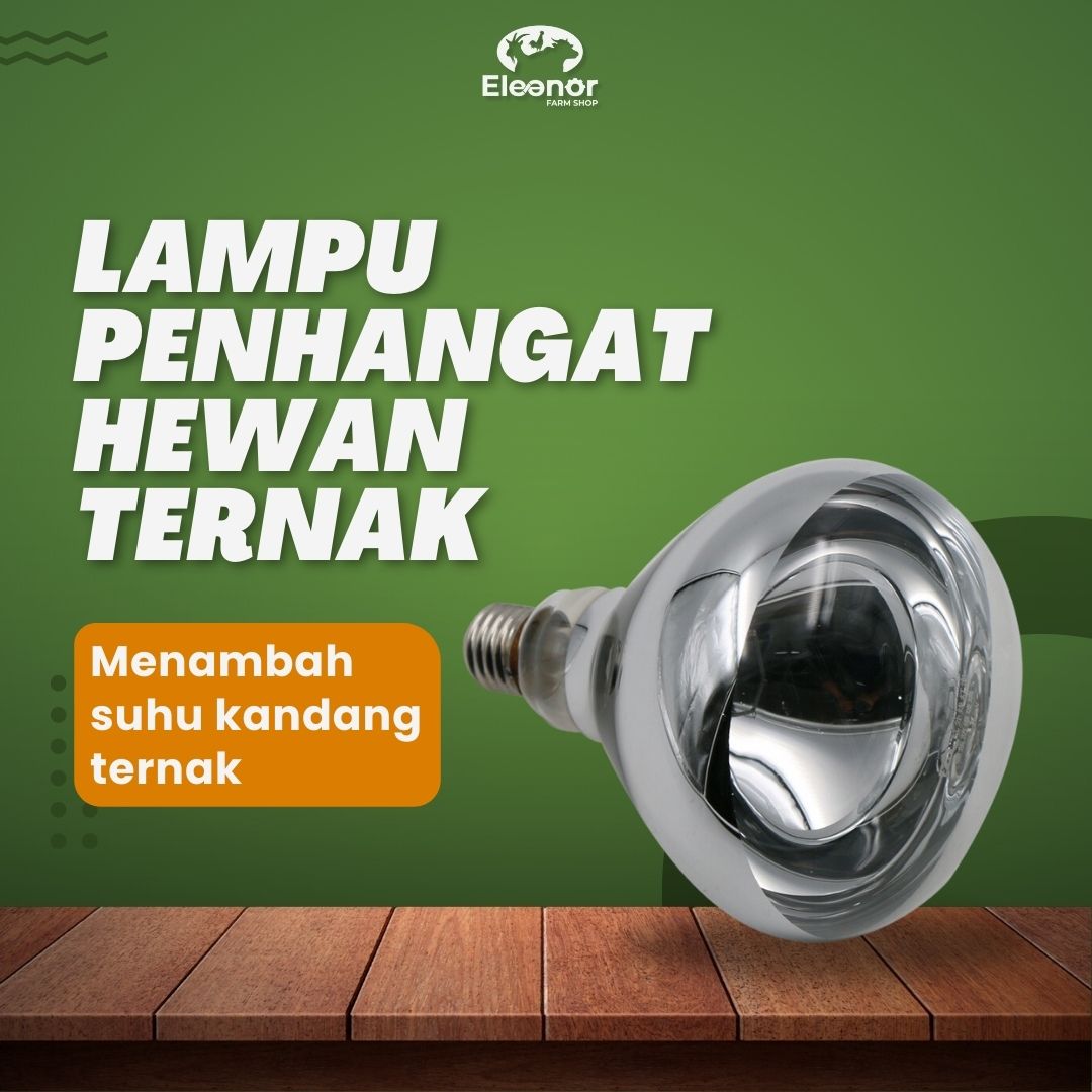 Lampu LED Penghangat Ternak Unggas Domba Kambing Sapi Babi 100W 150W 200W