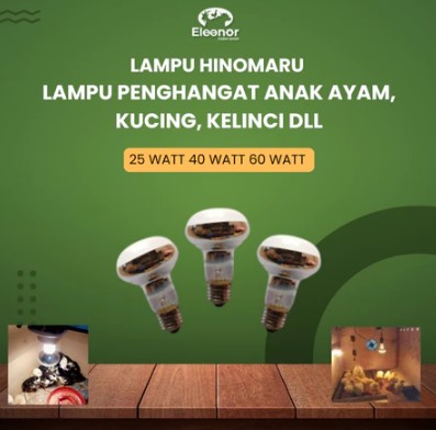 Lampu Penghangat Ayam Lampu Pijar Spot Pemanas Fried Chicken Hinomaru 25W 40W 60W