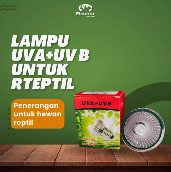 Lampu Reptil UVA UVB Holagen Lampu Penghangat Kura Kura Iguana Kadal Torto Sulcata 25W 50W Dan 75W Nomoy