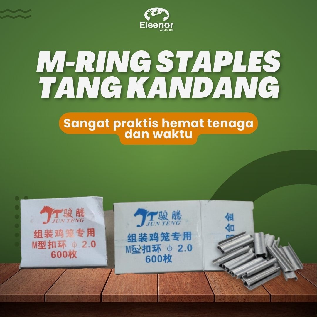 M Ring - C Ring Isi Staples Tang Pengikat Kandang Ayam 1Box