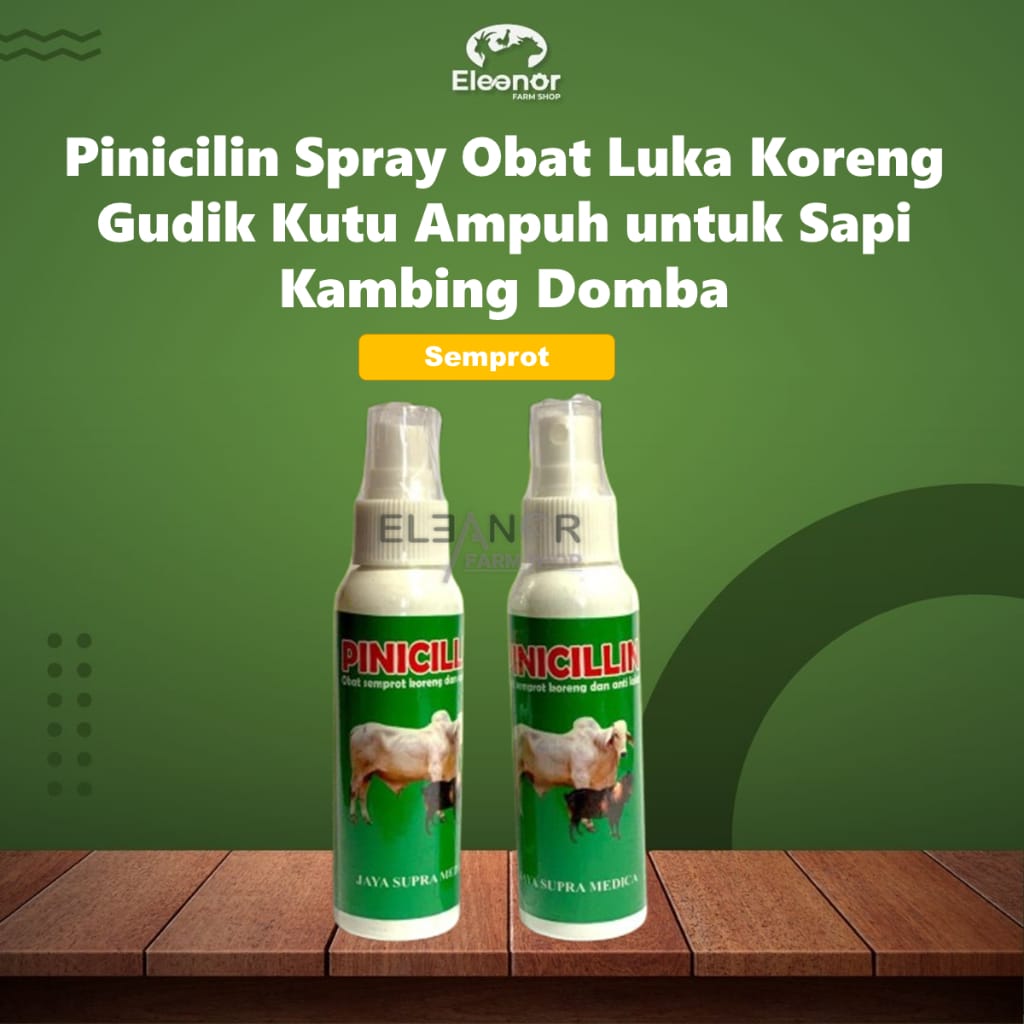 PINICILLIN SPRAY - Mengatasi Luka Dan Koreng Hewan Ternak Sapi Kambing Domba