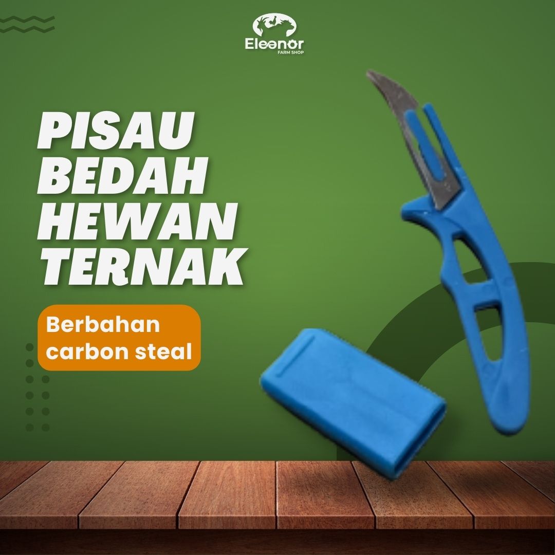 Pisau Kebiri Alat Kebiri Hewan Ternak Kambing Domba Kucing Sapi Pisau Bedah Hewan