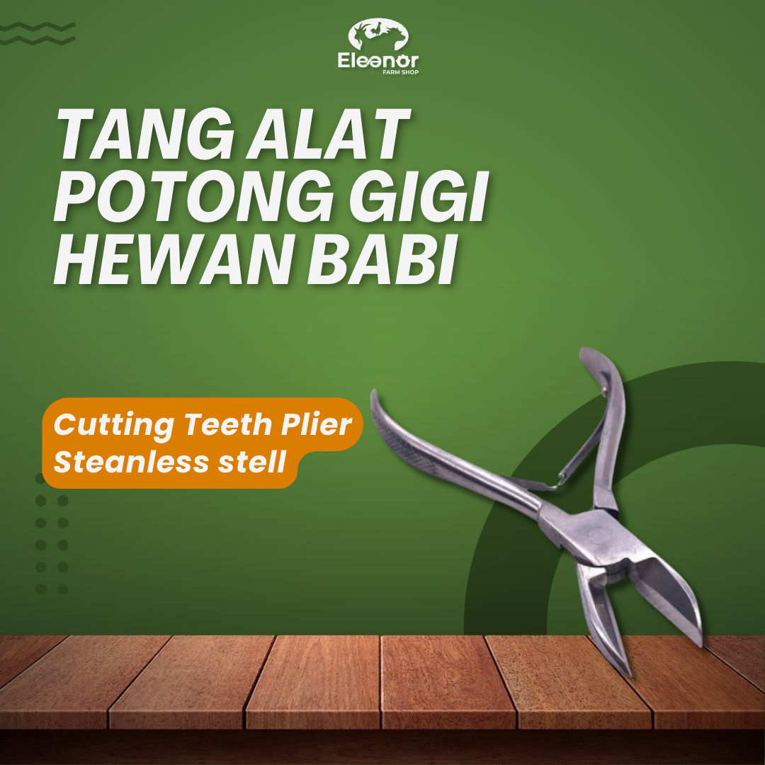 Tang Alat Potong Gigi Hewan Babi Cutting Teeth Plier