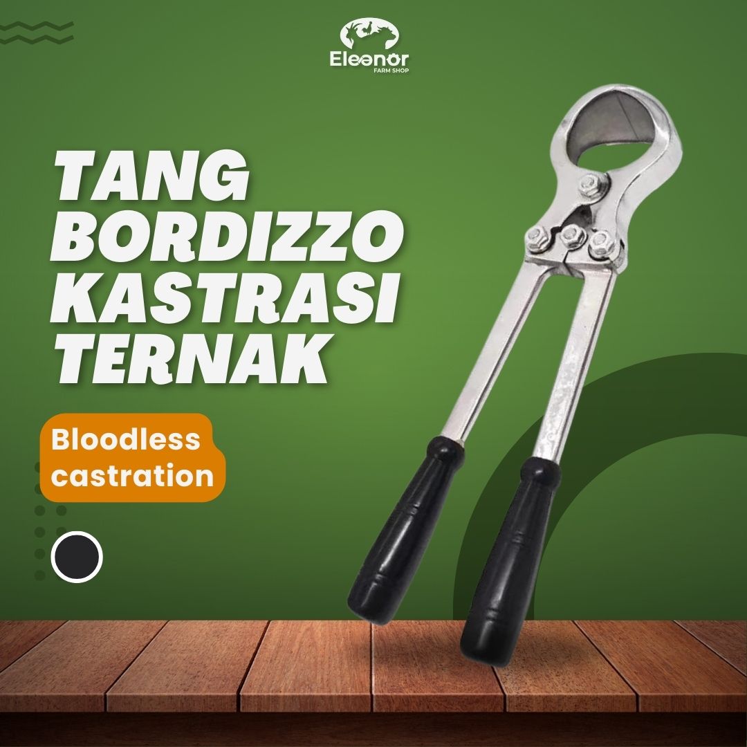 Tang Bordizzo Alat Kastrasi Hewan Ternak Sapi Kambing Domba Babi Besar