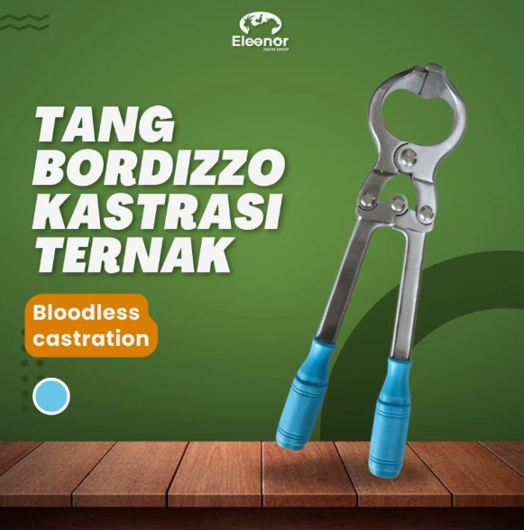 Tang Bordizzo Sapi Alat Kastrasi Sapi Domba Babi Stainless Steel Handel Biru 34cm