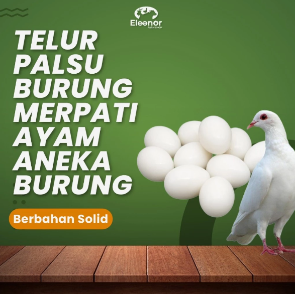 Telur Palsu Merpati Ayam Kate dan Aneka Burung bahan solid