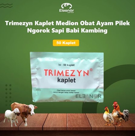 TRIMEZYN KAPLET 50 Kapsul - Obat Pilek Ngorok Pulorum Ayam Pneumonia Colibacilosis Babi Medion