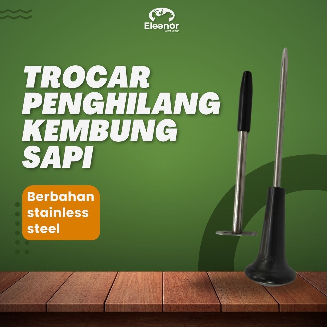 Trocar Sapi Kambing Domba Alat Penghilang Kembung Pada Hewan Tipe Besar